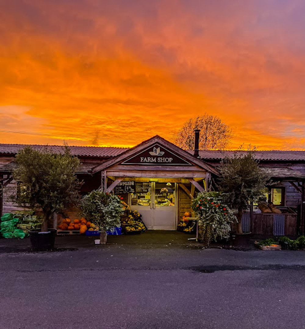 The front of the farm shop at Lowden Garden Centre at sunset