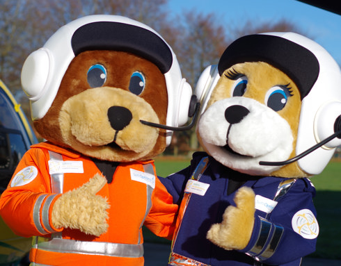 A photo of WAA bear mascots paramedic Wilber and pilot Marsha with their thumbs up